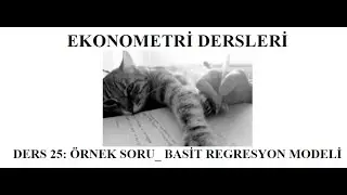 EKONOMETRİ_ ÖRNEK ÇÖZÜMÜ ( BASİT DOĞRUSAL REGRESYON MODELİ)