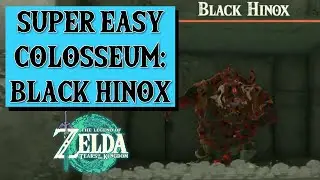 The Black Hinox Colosseum is super easy with Zonai weapons! Zelda Tears of the Kingdom. Chill fight