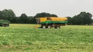 The pea vining going well.