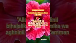 doa pelunas hutang #pembukarezeki #amalan