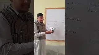 Class12 biology chapter 4 Human Brain structure and Function#biology#biology class12#science#foryou 