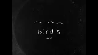 Sugar Cane Davis - birds (full album)