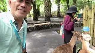 You can feed the deers at Bali Zoo , Indonesia 