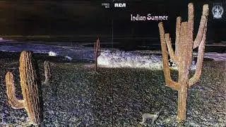 INDIAN SUMMER - Another Tree Will Grow