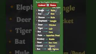 Animals And Their Home 🏠 | Boost Your English Vocabulary | Speak Fluent English