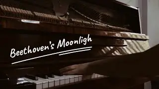 Beethoven’s Moonlight Sonata | Calm Acoustic Piano Performance #piano #music #beethoven #moonlight 