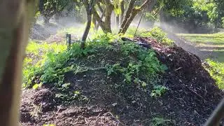 Idratando las plantas en estos tiempos de frio.
