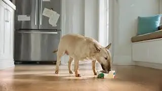 Open Farm Unique Pet Food Commercial