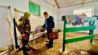 Олег Зубков даже 31 декабря снова на разорившейся ферме засыпанной снегом