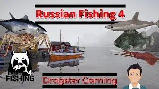 RF4 stream | Ketvirtadienio žvejyba