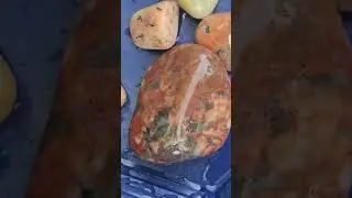 Tumbling Rocks found PROSPECTING in Indiana Stage 3 Prepolish #ibpc #shorts #prospecting