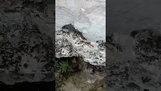 Geology Lesson of San Antonio - San Antonio, Texas
