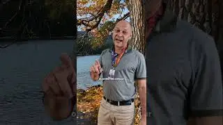 Veja como fundo verde, ou chroma key, ajuda com efeitos visuais nos v&iacute;deos