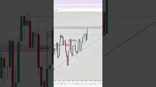 Power OF FMC #forextrading #forex #forextradinglive #forexinsights #gold