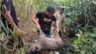 Mencari Rezeki Di Dalam Hutan Hasrat sebenar ingin mencari Kepah