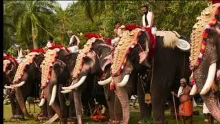 ഈ പറയുന്ന നക്ഷത്രക്കാരുടെ ജീവിതത്തിൽ മഹാവിഷ്ണുവിന്റെ ഐശ്വര്യം ഉണ്ടായിരിക്കുന്നതാണ്...
