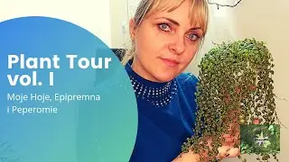 Plant Tour vol. I - Moje Hoye, Epipremna i Peperomie    #planttour #rośliny #ogrodnictwo