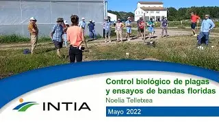Control biol&oacute;gico de plagas con bandas floridas y sueltas de fauna auxiliar