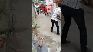 gully cricket sanday