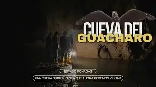 La Cueva del Guácharo Venezuela 🇻🇪