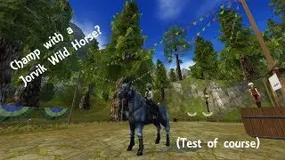 Champ with a Jorvik Wild Horse! (Test) - Star Stable