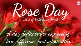 Rose Day 2026 Status video || Rose Day status || Happy Rose Day Status