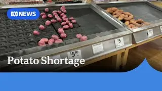 Extreme weather causes SA potato shortage | ABC NEWS