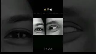 nee yen usuru yarukkumae tharamaattaen...🖤|tamil love songs |Ssr lyrics | #trending |