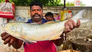 KASIMEDU 🔥 SPEED SELVAM | INDIAN SALMON FISH CUTTING VIDEO | FF CUTTING 🔪
