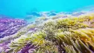 East Dam Youtube 3 mins