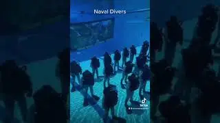 #navaldiver #navy #navystrong #awesome  #usarmy  #strong #america #fun #video #subscribe #youtuber
