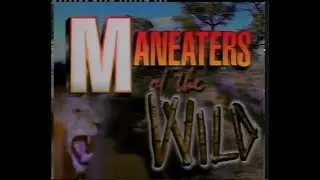 Shark Week '95 The Discovery Channel 