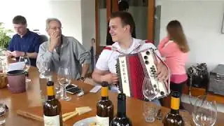 Wine Tasting in Gori&scaron;ka Brda with Music