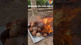 Making Coconut Shell Charcoal at Home 🥥🔥 #coconutcharcoal #doityourself #srilanka #shorts