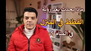 ماذا يحدث بعد رؤية القطط في المنزل في المنام | تفسير حلم رؤية قطة أو رؤية القطط في البيت في المنام