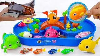 [🐋Toy asmr🐋] Mosasaurus & RC Shark & RC Ray & Baby Shark & Aquarium ASMR Satisfying with Unboxing