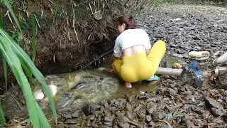 Beautiful Girl Use Pump to Suck Water in Abandoned Artificial Lake, Catch a Lot Of Fish And Shrimp