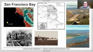 Nature-Based Shoreline Solutions in Urban Areas