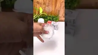 Portable Travel Friendly Soap Container for Camp, Outdoor, Gym and School