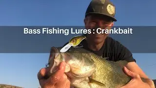 Bass Fishing Lures : Crankbait