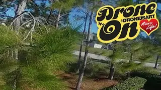 Acro Tree Flows and Freestyle with the HD whoop. #HDwhoop #Teamoptimized