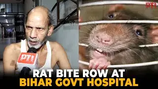 Controversy erupts at govt hospital in Bihar after rats 'bite' fingers of patient