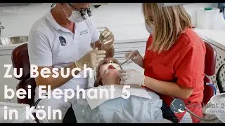 Zahnarztpraxis || Elephant 5 || click to success