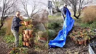 Putting The Strawberry Greenstalk to Bed For The Winter