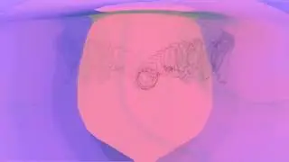 RIOT- Take That Visualizer