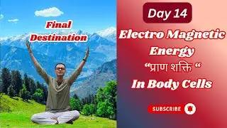 D14 Morning | Yoga For Electro Magnetic Energy | Yoga To Revive Body Cells @vivekamyoga