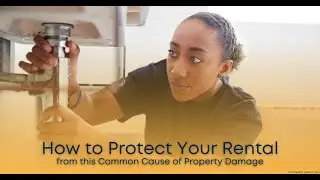 How to Avoid an Expensive Insurance Claim at Your Rental
