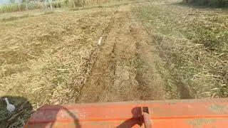 Rotary mulchar/ Paddy straw chopper #tractor #farmequipment #farmmachinery #agriculture #farmer