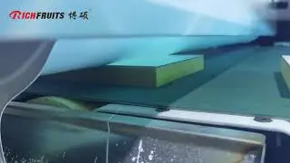 Automatic elevation of roller coating line compatible with workpiece in different thickness