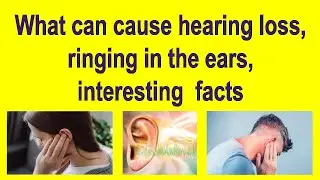 What can cause hearing loss, ringing in the ears, interesting facts